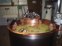 2003