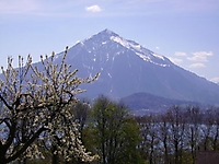 OgiWeg2005_34