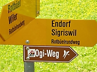 P1010048