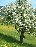 P1030185