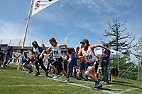 2006