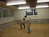 TVSchwingen06_1
