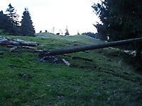 Alpigle07_14