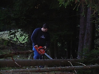 Bauen in der Alpigle