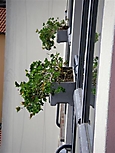 TVReiseTessin2007_8