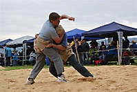 SchwingenOberthal08_75