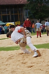 SchwingenUnterbach08_25
