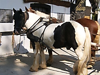 DRReise08_27