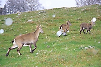 2009-10-17_TVReise09_0599