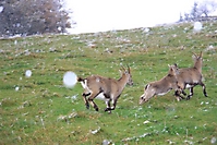 2009-10-17_TVReise09_0604