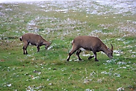 2009-10-17_TVReise09_0622