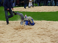 Buebeschwinget