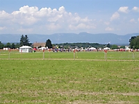Turnfest10_ _6_