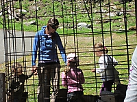MUKI-Reisli_2012_013