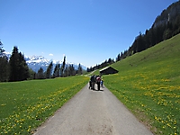 MUKI-Reisli_2012_016