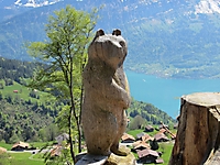 MUKI-Reisli_2012_032