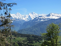 MUKI-Reisli_2012_033