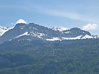 OVM_2013_025