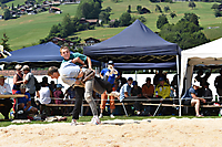 TVS_Buebeschwinget2018_081