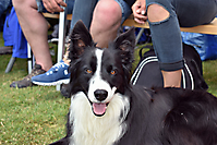 TVS_Buebeschwinget2019_067