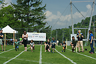 gSigriswiler2022_TVS_209